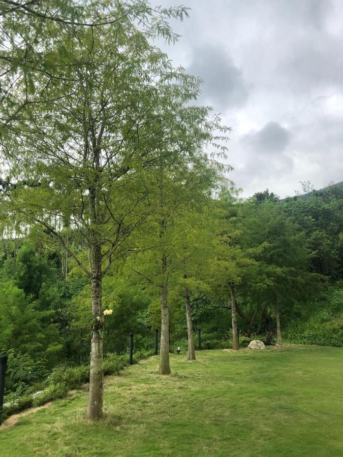 Sunrise Forest 펑린 진 외부 사진